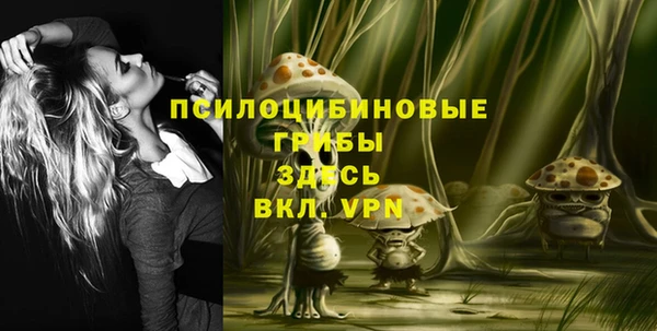 эйфоретик Беломорск