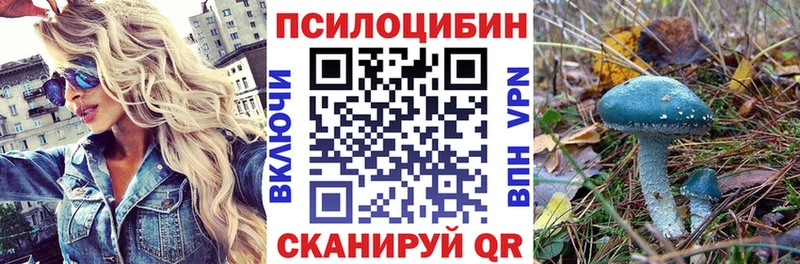 продажа наркотиков  Козельск  Псилоцибиновые грибы Psilocybe 